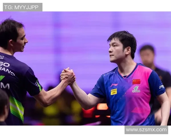 樊振东德甲薪资引发热议球迷观点各异引发讨论