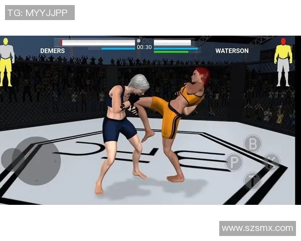 探索vs格斗网的魅力与挑战,揭开格斗游戏的竞技世界新篇章 探索vs格斗网的魅力与挑战,揭开格斗游戏的竞技世界新篇章